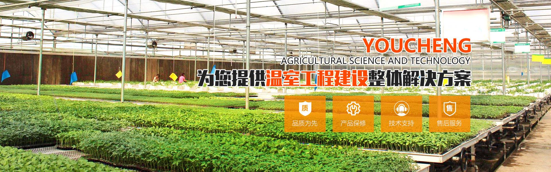 钢结构温室麻豆黄色电影免费看