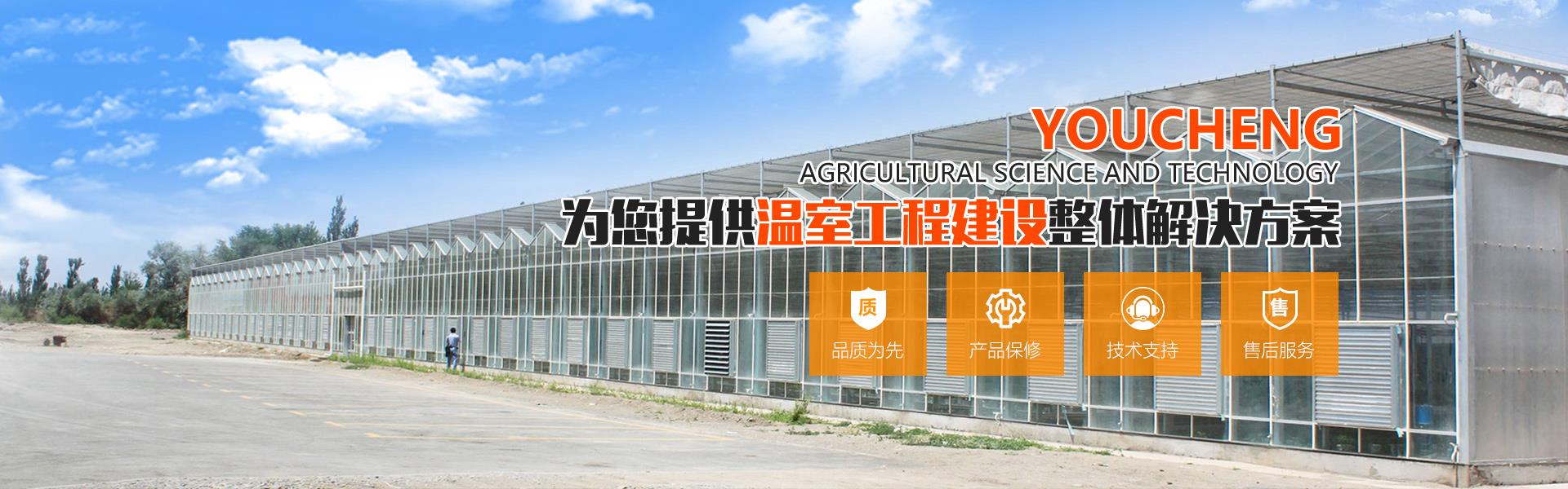 薄膜温室麻豆黄色电影免费看